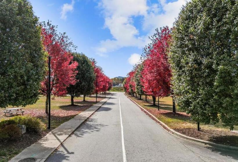 ホテル Mountain Inn & Suites Flat Rock