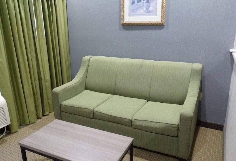 هتل Regency Inn And Suites Humble