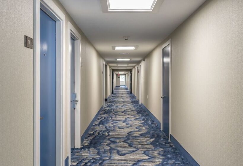 酒店 Rockport Inn And Suites