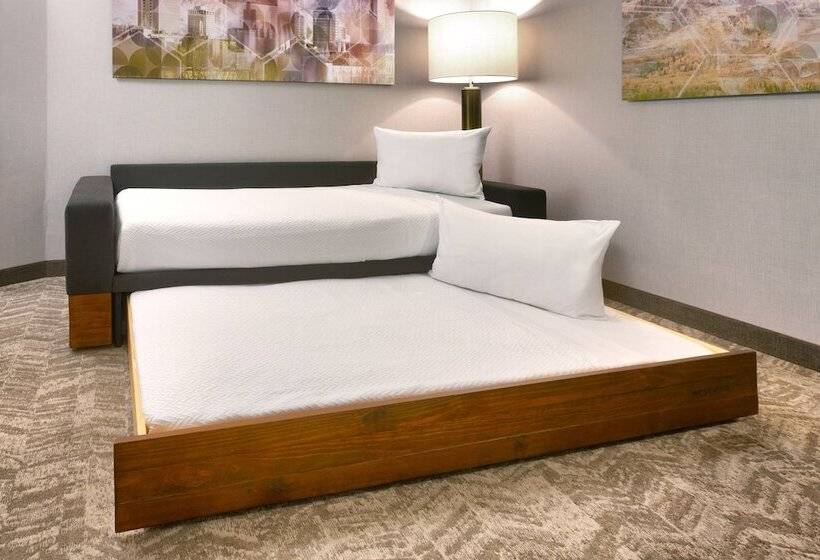 בית מלון כפרי Springhill Suites By Marriott Salt Lake City Draper