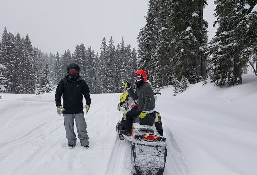 فندق The Spruce Lodge