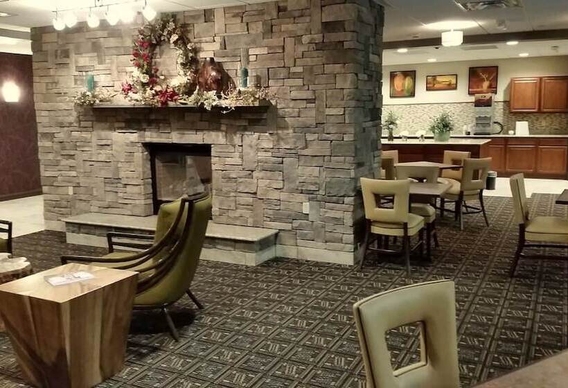 هتل Wingate By Wyndham Elkins