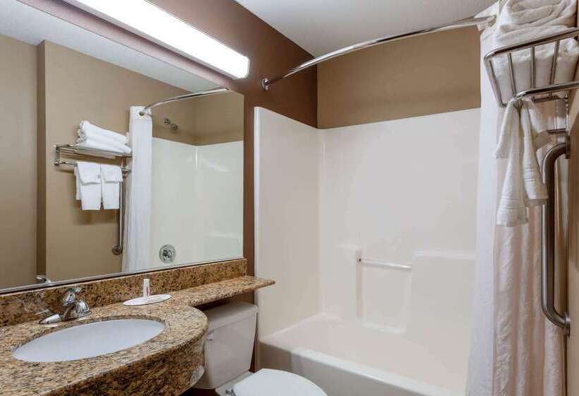 Microtel Inn & Suites By Wyndham Columbia