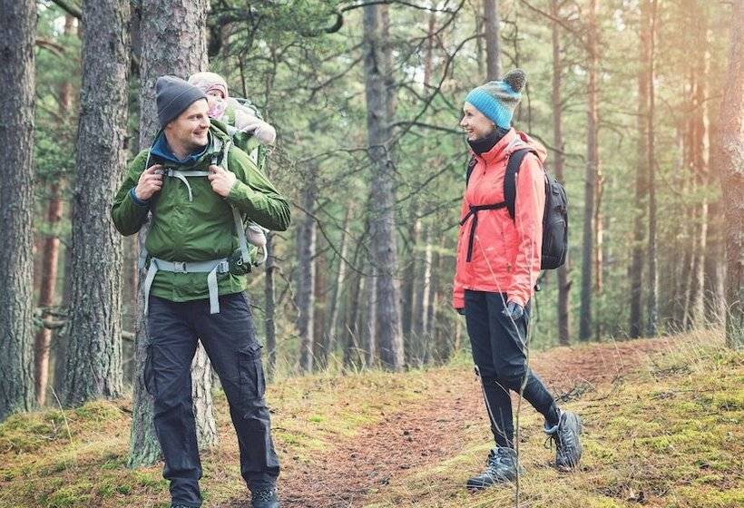 汽车旅馆  Budget Inn Of Lynchburg And Bedford