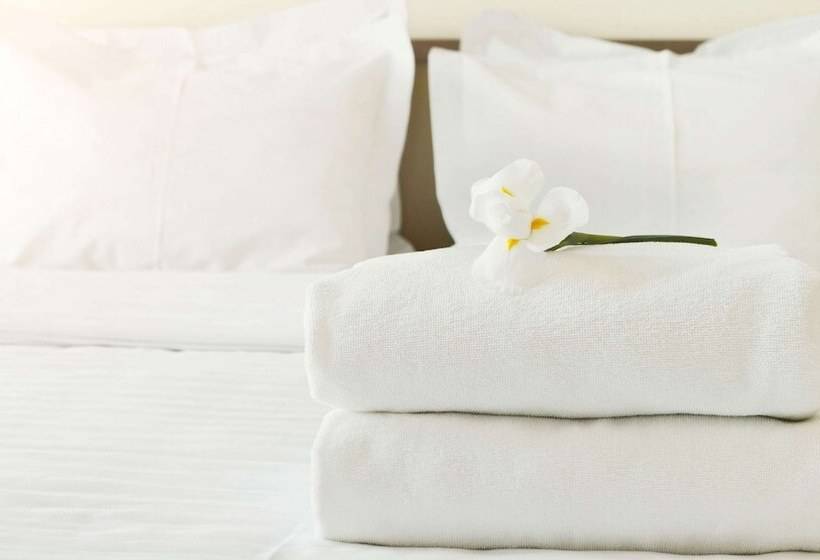 汽车旅馆  Budget Inn Of Lynchburg And Bedford