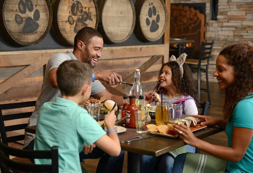 استراحتگاه Great Wolf Lodge Concord