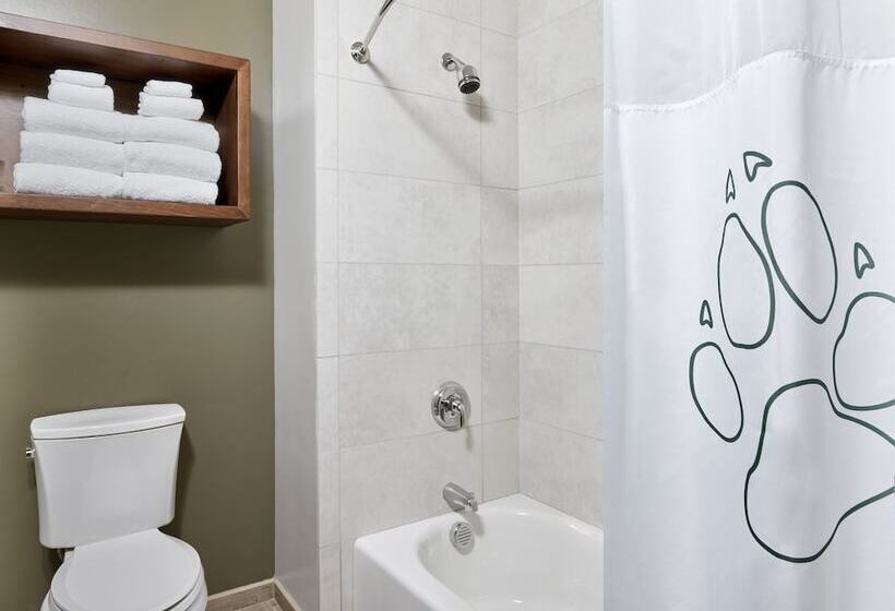 استراحتگاه Great Wolf Lodge Concord