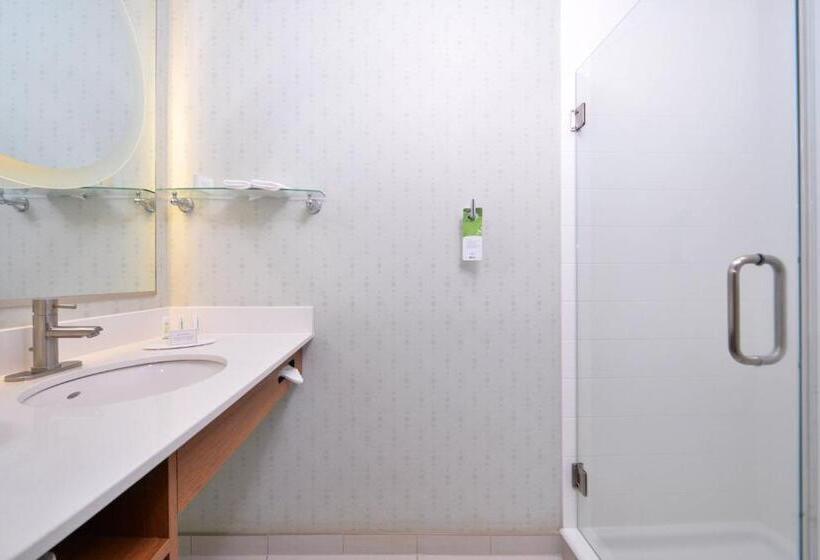 Springhill Suites Kingman Route 66
