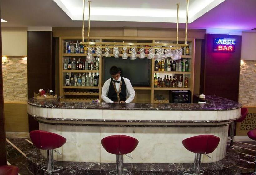 Fotos del hotel Abel:  11