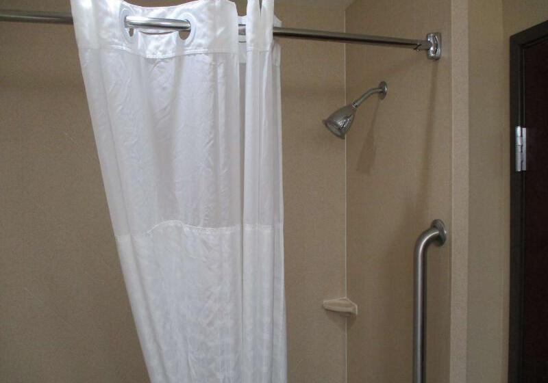 בית מלון כפרי Best Western Carthage Inn & Suites