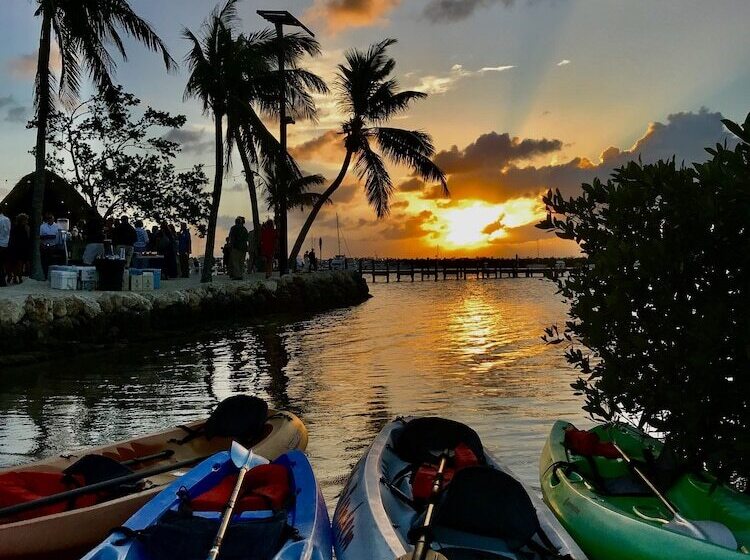 فندق Coconut Palm Inn