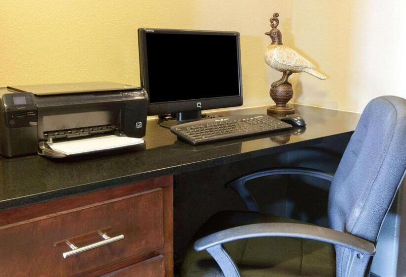 בית מלון כפרי Lone Star Inn & Suites