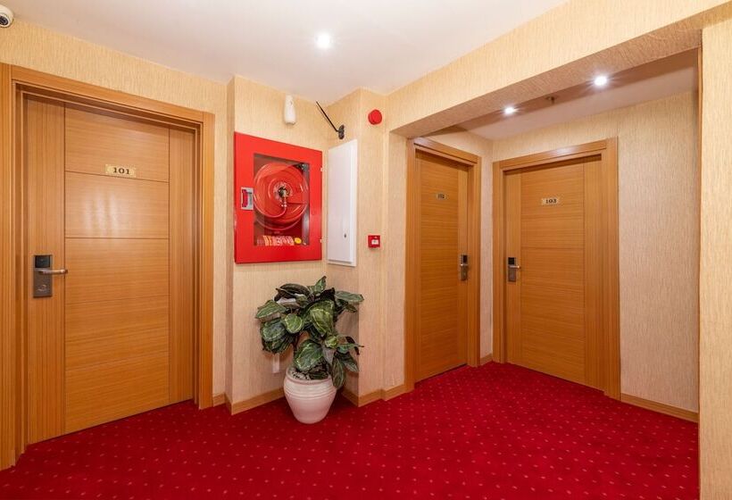 Fotos del hotel Regno:  68