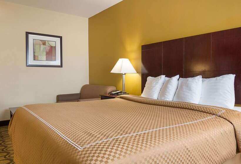 فندق Rodeway Inn & Suites