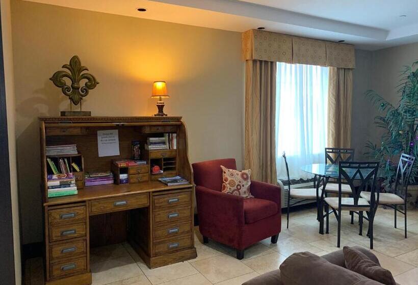 فندق Rodeway Inn & Suites