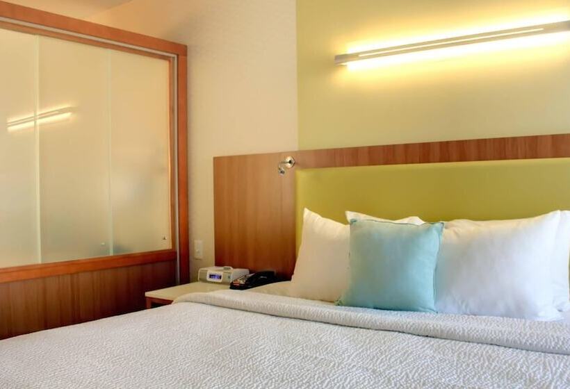 酒店 Springhill Suites By Marriott Scranton Montage Mountain