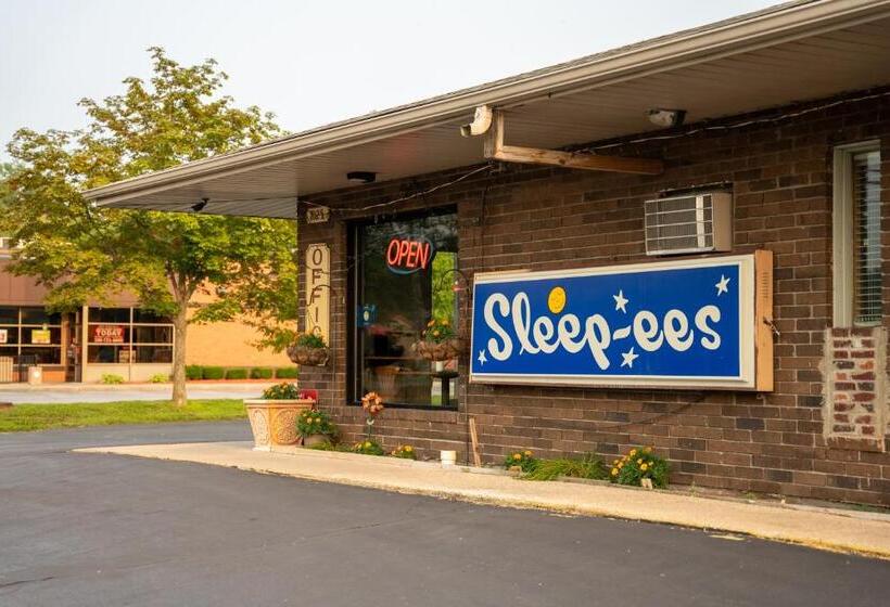 汽车旅馆  Sleep Ees Inn, Saginaw & Shields