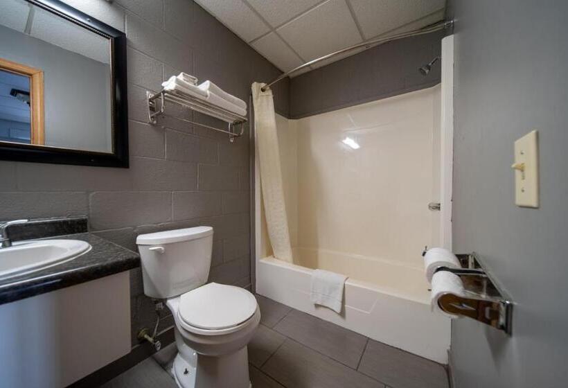 汽车旅馆  Sleep Ees Inn, Saginaw & Shields