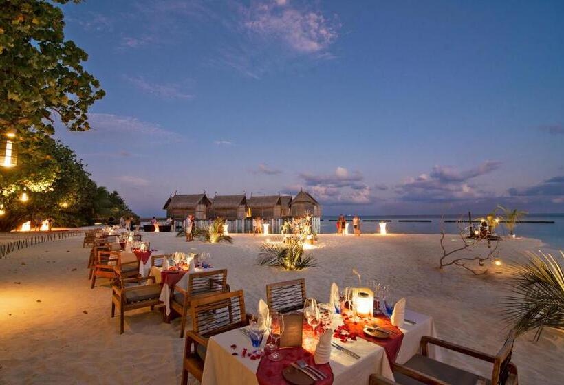 Resort Constance Moofushi  All Inclusive