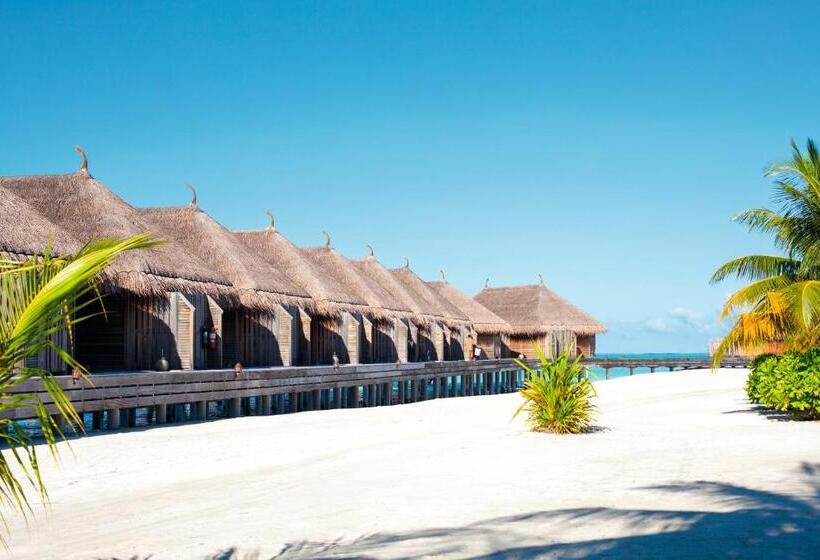 Resort Constance Moofushi  All Inclusive