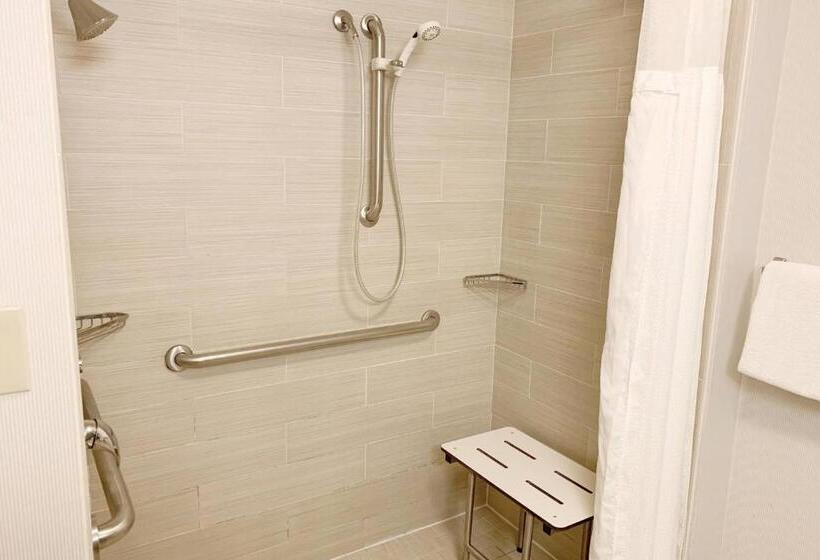 Towneplace Suites By Marriott San Antonio Downtown Riverwalk