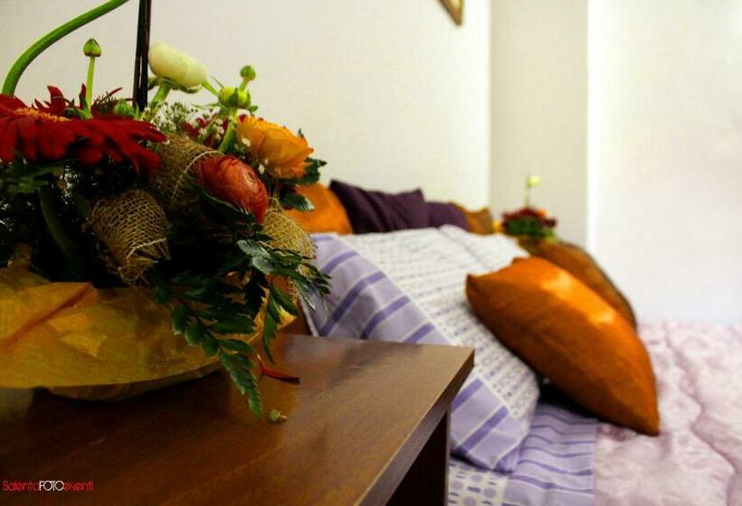 Exedra Holiday House