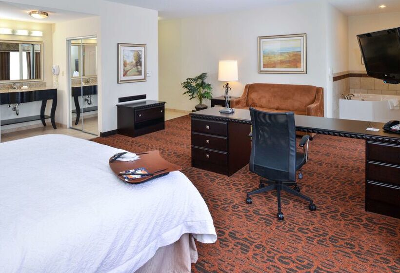Hampton Inn Pecos