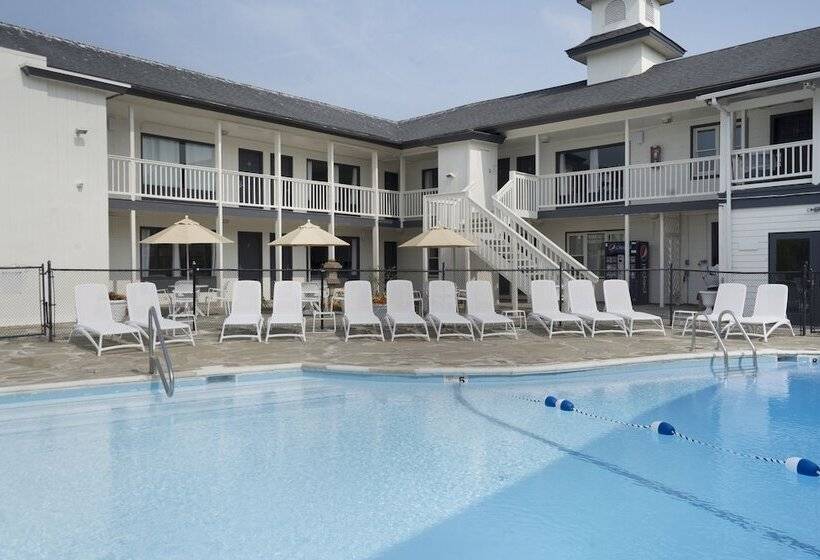 فندق A Wave Inn