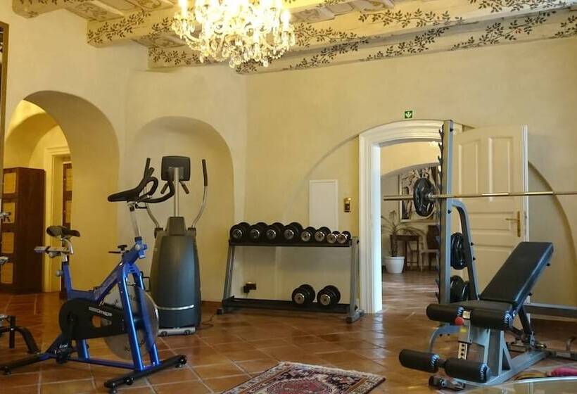 Fotos del hotel Alchymist Prague Castle Suites:  24