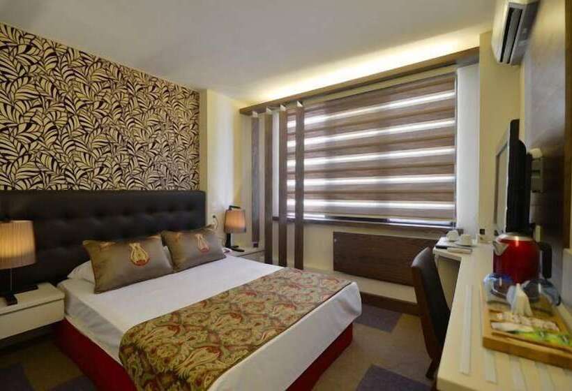 Fotos del hotel Arsima:  8