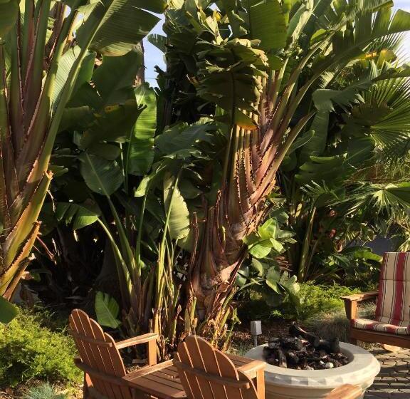 호텔 Beach Bungalow Inn And Suites