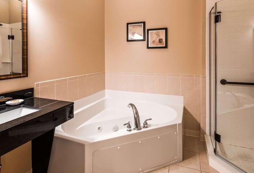 호텔 Best Western Plus Dutch Haus Inn And Suites