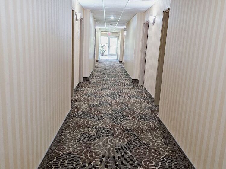 فندق Cobblestone Inn & Suites  Bloomfield