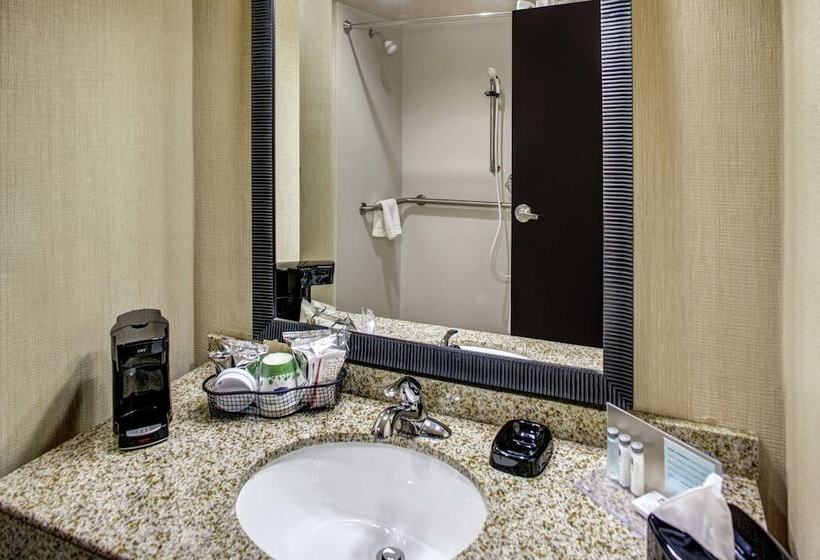 בית מלון כפרי Hampton Inn Thomson