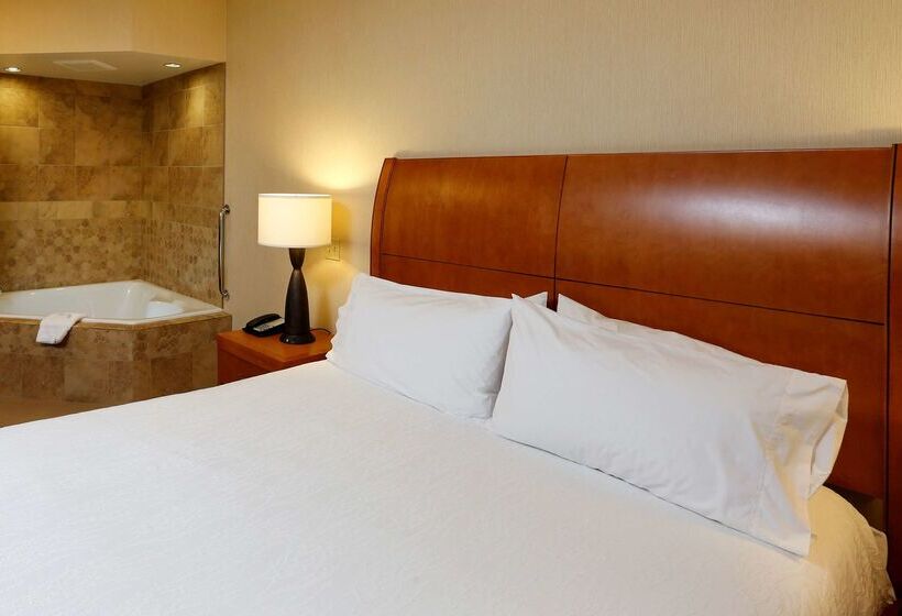 בית מלון כפרי Hilton Garden Inn Cedar Falls