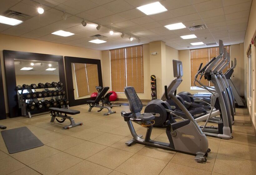 בית מלון כפרי Hilton Garden Inn Cedar Falls