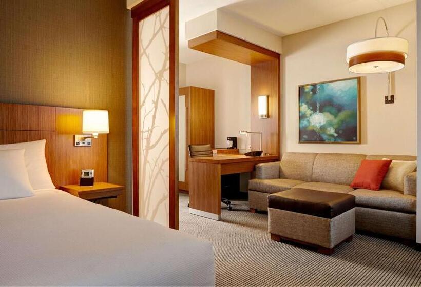 בית מלון כפרי Hyatt Place Detroit/novi