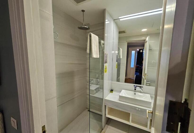 Fotos del hotel Walton S Taksim Pera:  29