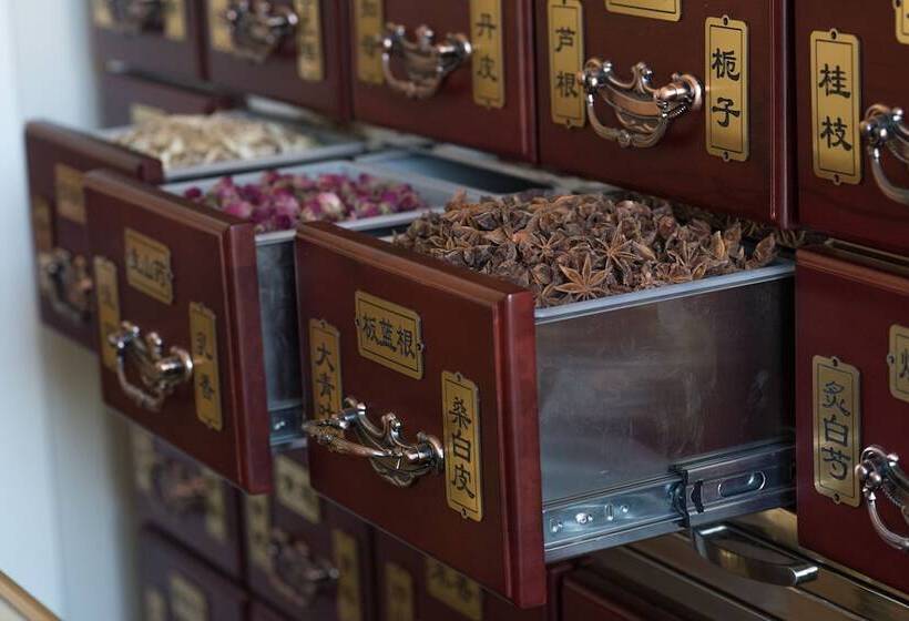 Fotos del hotel Mirage Medic:  18