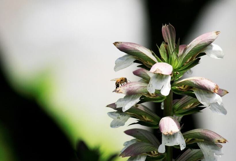 فندق Ocean Echo Inn & Beach Cottages