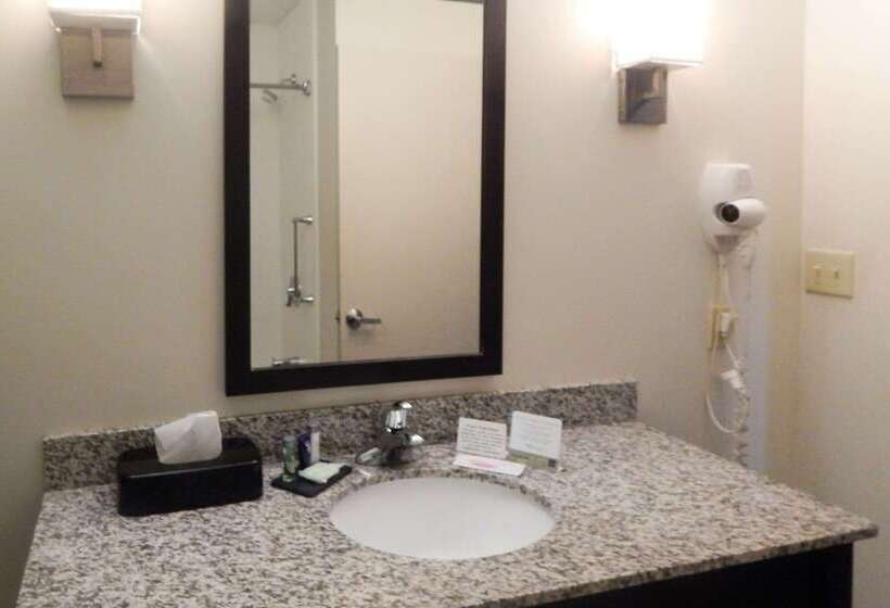 בית מלון כפרי Sleep Inn & Suites Near Liberty Place I65