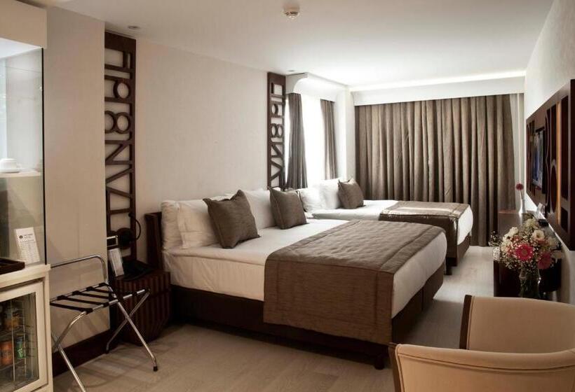 Fotos del hotel Victory Hotel & Spa Istanbul:  41