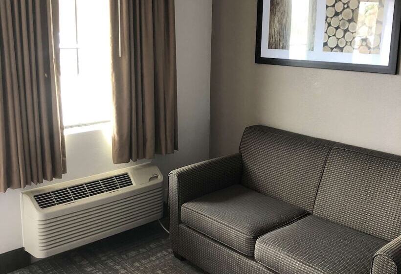 汽车旅馆  Executive Inn & Suites Joaquin