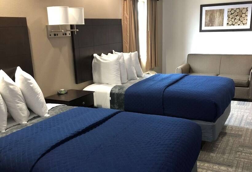 汽车旅馆  Executive Inn & Suites Joaquin
