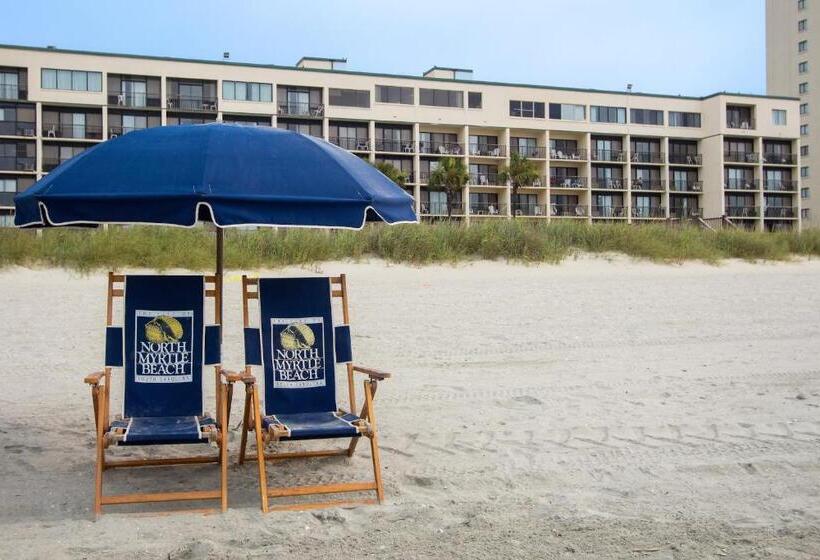 Peppertree By The Sea