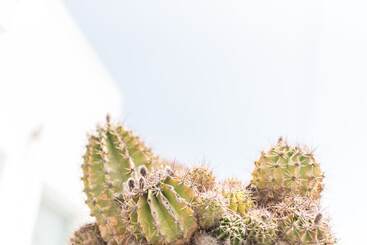 هتل Agave Santorini Design Boutique