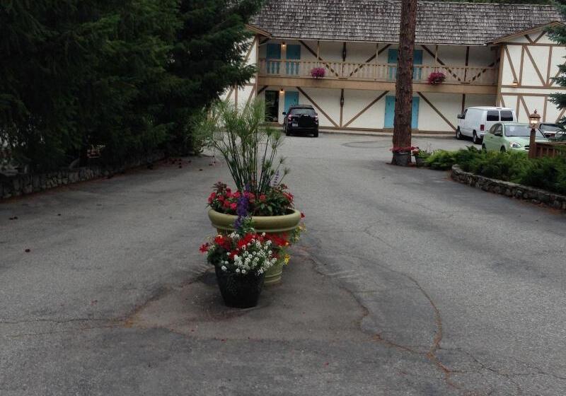 هتل Alpine Rivers Inn