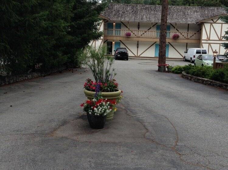 هتل Alpine Rivers Inn
