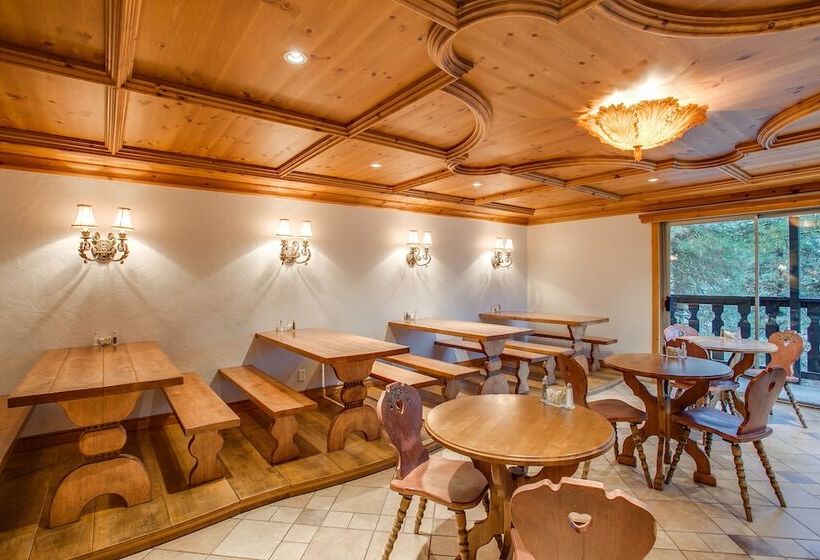 هتل Alpine Rivers Inn