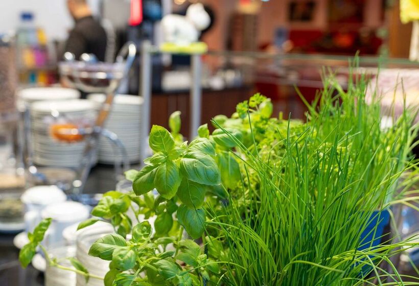 Fotos del hotel Best Western Plus Plaza Berlin Kurfürstendamm:  14